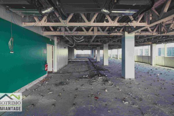 210424 SOTRIMO - Arcs de Seine (12)-compressed