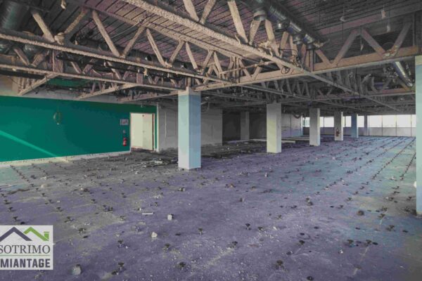 210424 SOTRIMO - Arcs de Seine (14)-compressed