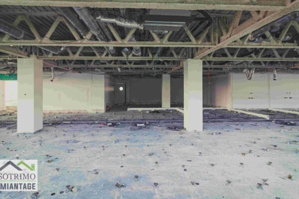 210424 SOTRIMO - Arcs de Seine (17)-compressed