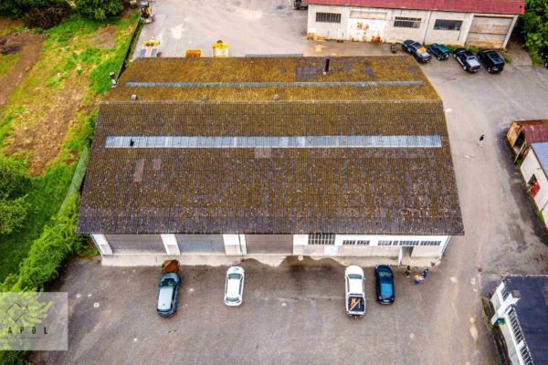 210428 EXAPOL - GillyD (1)-compressed