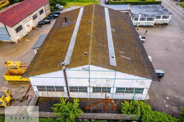 210428 EXAPOL - GillyD (10)-compressed