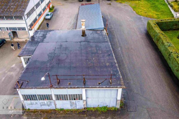 210428 EXAPOL - GillyD (8)-compressed