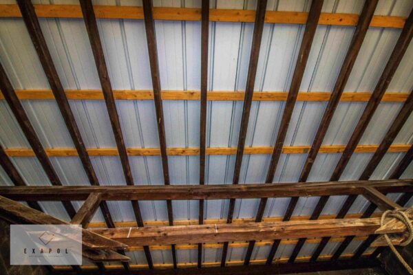 210428 EXAPOL - GillyR (19)-compressed