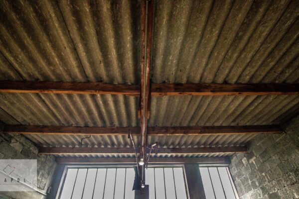 210428 EXAPOL - GillyR (26)_compressed