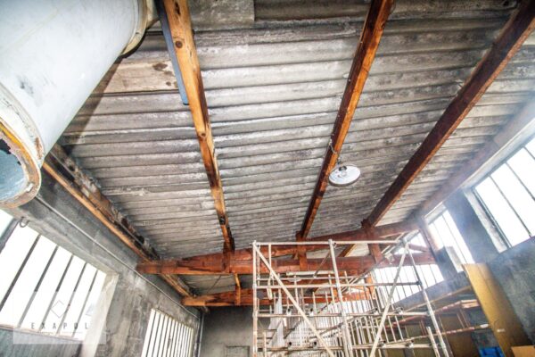 210428 EXAPOL - GillyR (32)_compressed